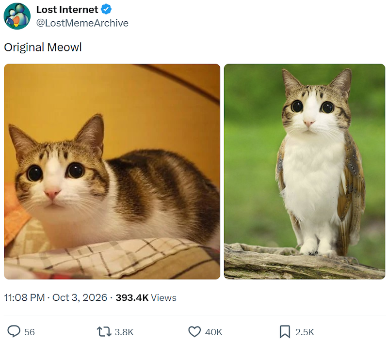 Lost Internet @LostMemeArchive Original Meowl 11:08 PM - Oct 3, 2026 393.4K Views 56 17 3.8K 40K ☐ 2.5K