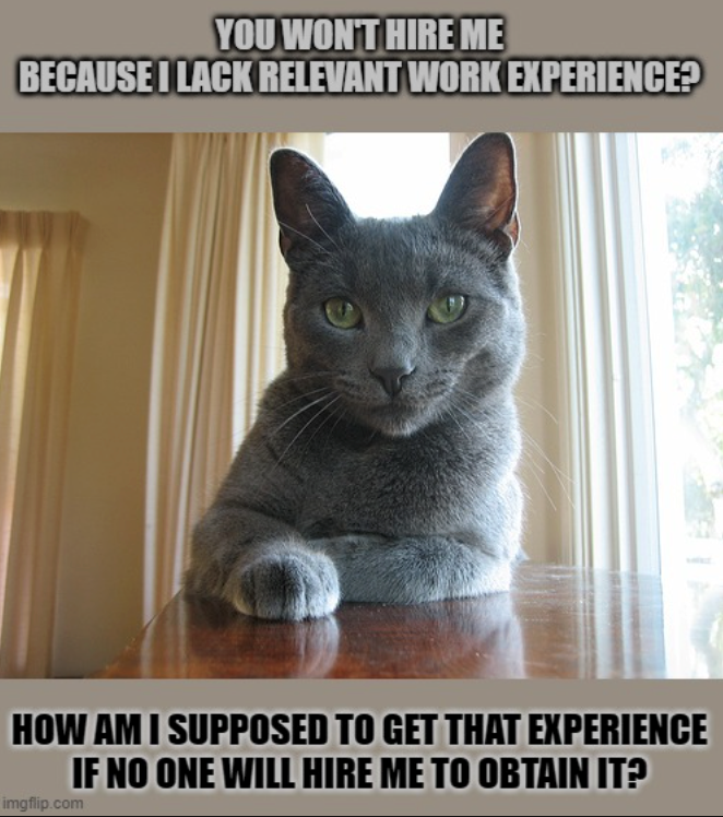YOU WON'T HIRE ME BECAUSE I LACK RELEVANT WORK EXPERIENCE? HOW AM I SUPPOSED TO GET THAT EXPERIENCE IF NO ONE WILL HIRE ME TO OBTAIN IT? imgflip.com