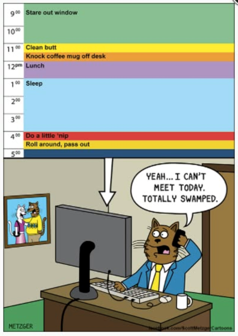 9% Stare out window 10% 1100 Clean butt Knock coffee mug off desk 12pm Lunch 100 Sleep 200 3% 4% Do a little 'nip Roll around, pass out 500 YEAH... I CAN'T MEET TODAY. TOTALLY SWAMPED. METZGER Top.com/ScottMetzger Cartoons