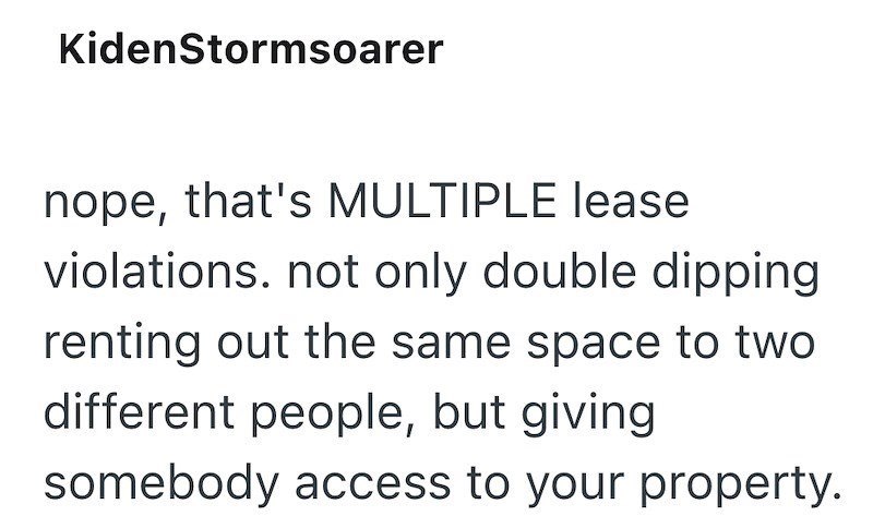 KidenStormsoarer nope, that's MULTIPLE lease violations. not only double dipping renting out the same space to two different people, but giving somebody access to your property.