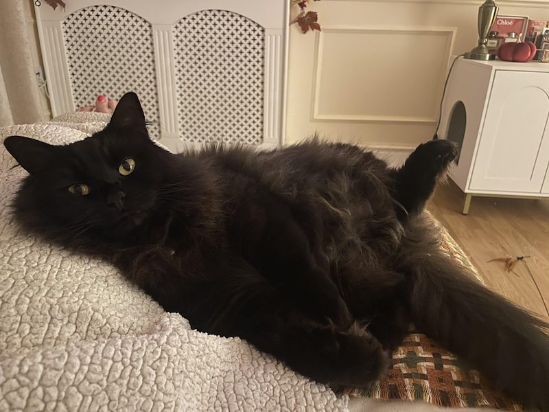 Chloe