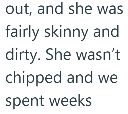 out, and she was fairly skinny and dirty. She wasn't chipped and we spent weeks
