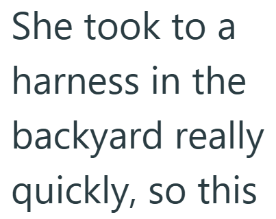 She took to a harness in the backyard really quickly, so this