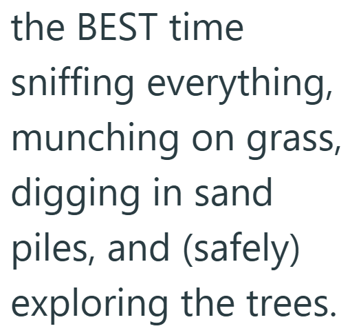 the BEST time sniffing everything, munching on grass, digging in sand piles, and (safely) exploring the trees.