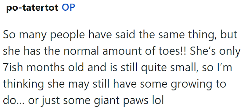 po-tatertot OP So many people have said the same thing, but she has the normal amount of toes!! She's only 7ish months old and is still quite small, so I'm thinking she may still have some growing to do... or just some giant paws lol