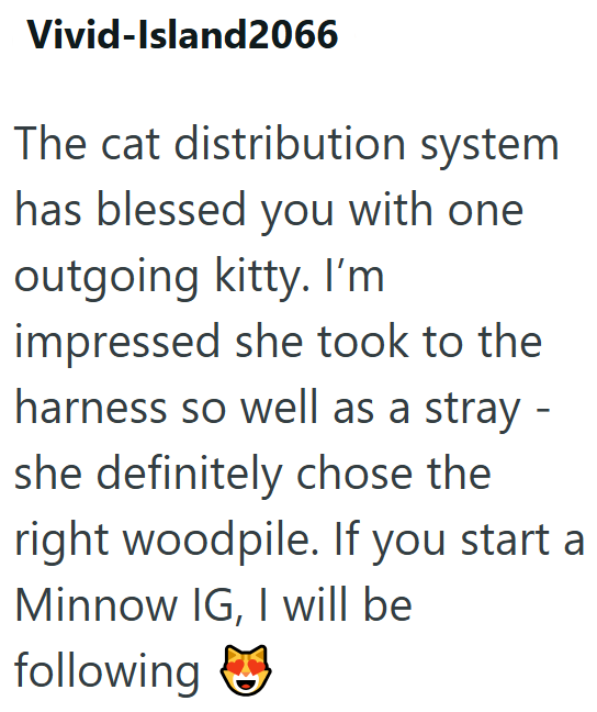 Vivid-Island2066 The cat distribution system has blessed you with one outgoing kitty. I'm impressed she took to the harness so well as a stray - she definitely chose the right woodpile. If you start a Minnow IG, I will be following