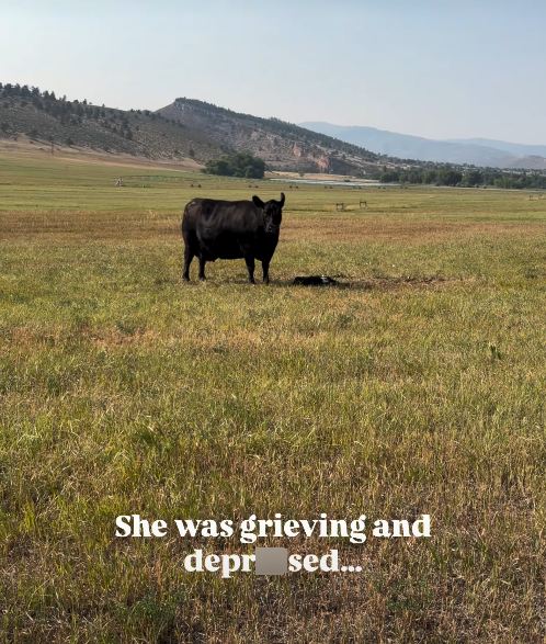 She was grieving and depr sed...