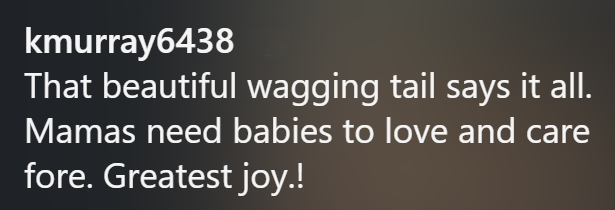 kmurray6438 That beautiful wagging tail says it all. Mamas need babies to love and care fore. Greatest joy.!