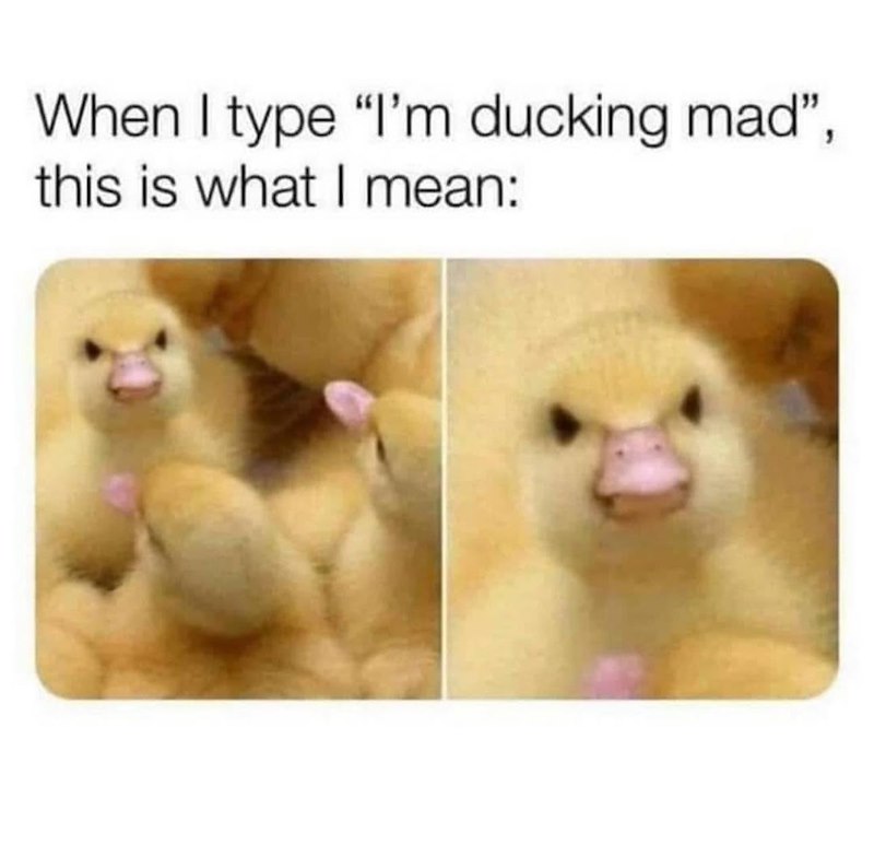 When I type "I'm ducking mad", this is what I mean: