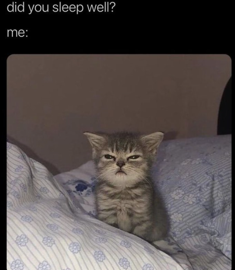did you sleep well? me: