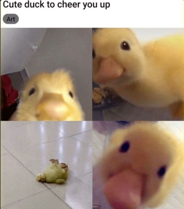 Cute duck to cheer you up Art