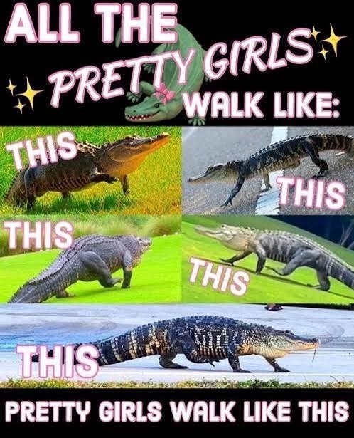 ALL THE PRETTY GIRLS WALK LIKE: THIS THIS THIS THIS THIS PRETTY GIRLS WALK LIKE THIS