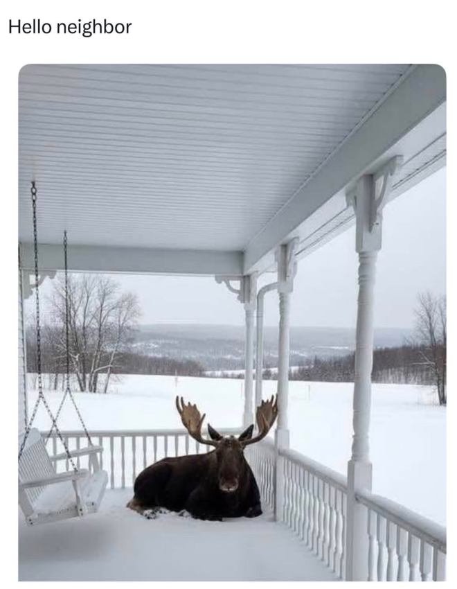 Hello neighbor