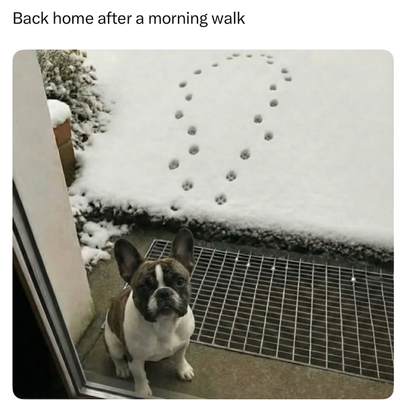 Back home after a morning walk