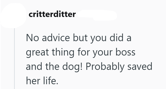 critterditter No advice but you did a great thing for your boss and the dog! Probably saved her life.