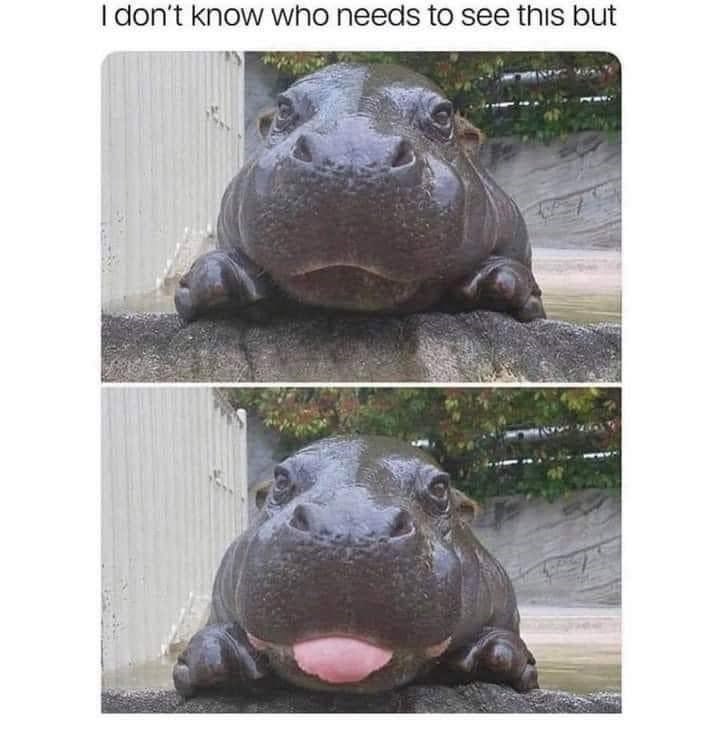 I don't know who needs to see this but