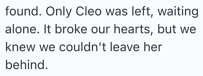 found. Only Cleo was left, waiting alone. It broke our hearts, but we knew we couldn't leave her behind.