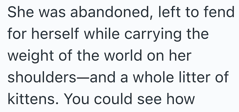 She was abandoned, left to fend for herself while carrying the weight of the world on her shoulders-and a whole litter of kittens. You could see how