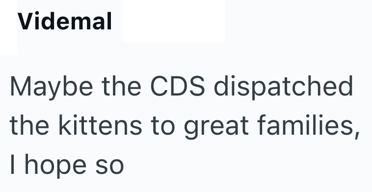 Videmal Maybe the CDS dispatched the kittens to great families, I hope so