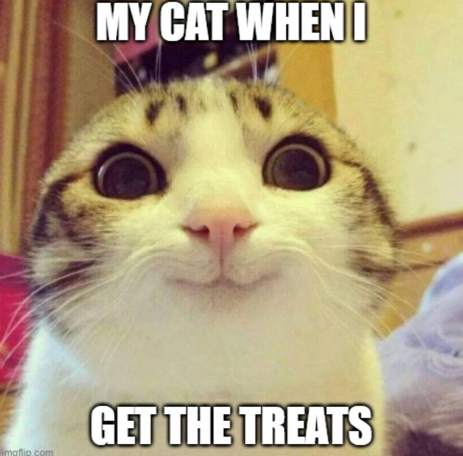 MY CAT WHEN GET THE TREATS imgflip.com