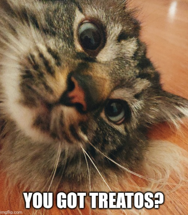 imgflip.com YOU GOT TREATOS?