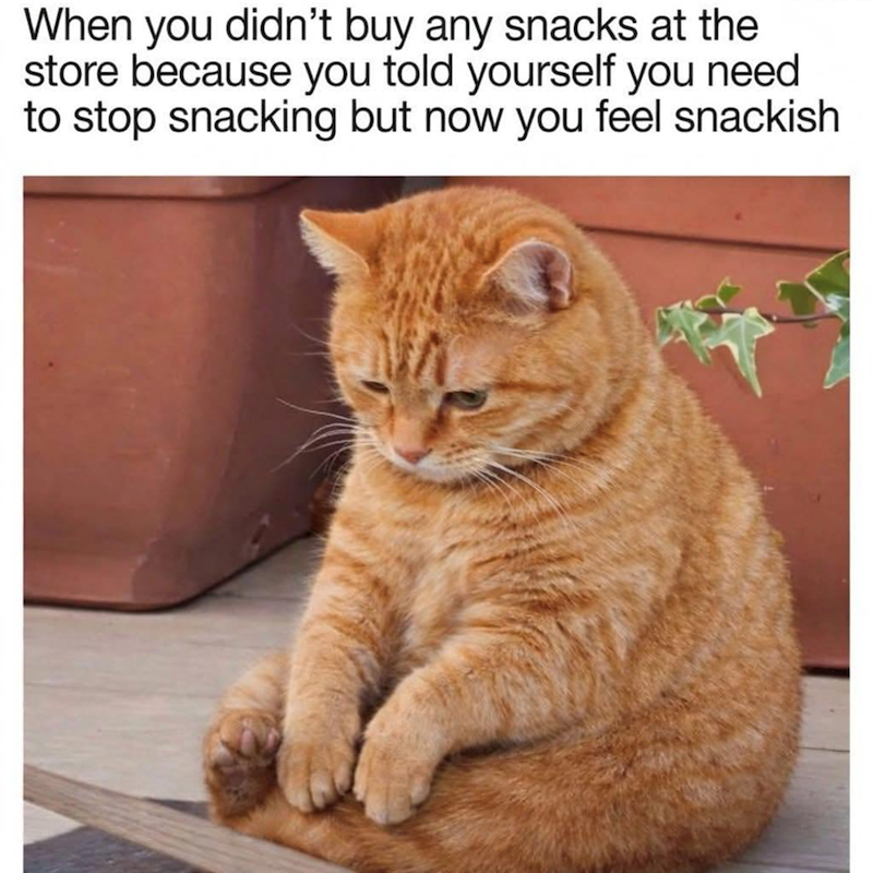When you didn't buy any snacks at the store because you told yourself you need to stop snacking but now you feel snackish