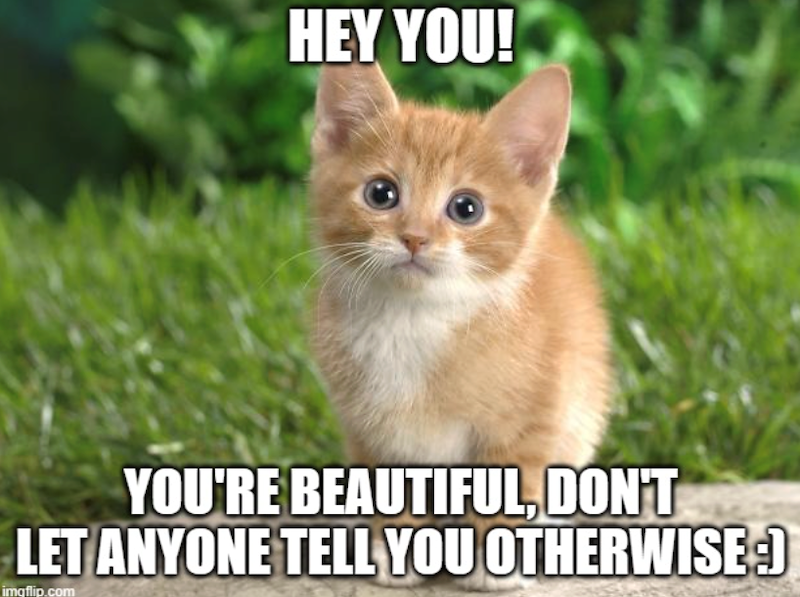 HEY YOU! YOU'RE BEAUTIFUL, DON'T LET ANYONE TELL YOU OTHERWISE :) imgflip.com