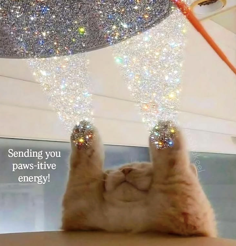 Sending you paws-itive energy! keel