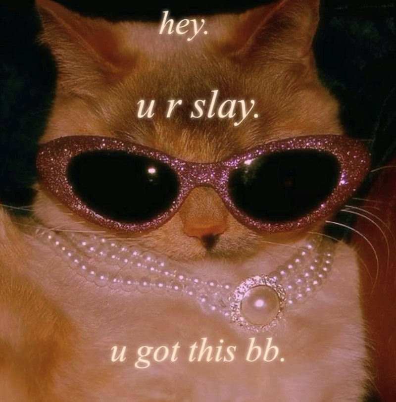 hey. ur slay. u got this bb.