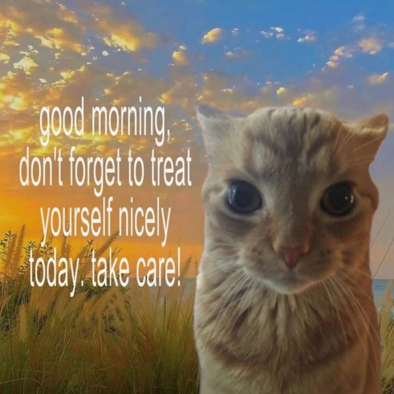 good morning, don't forget to treat yourself nicely today, take care!