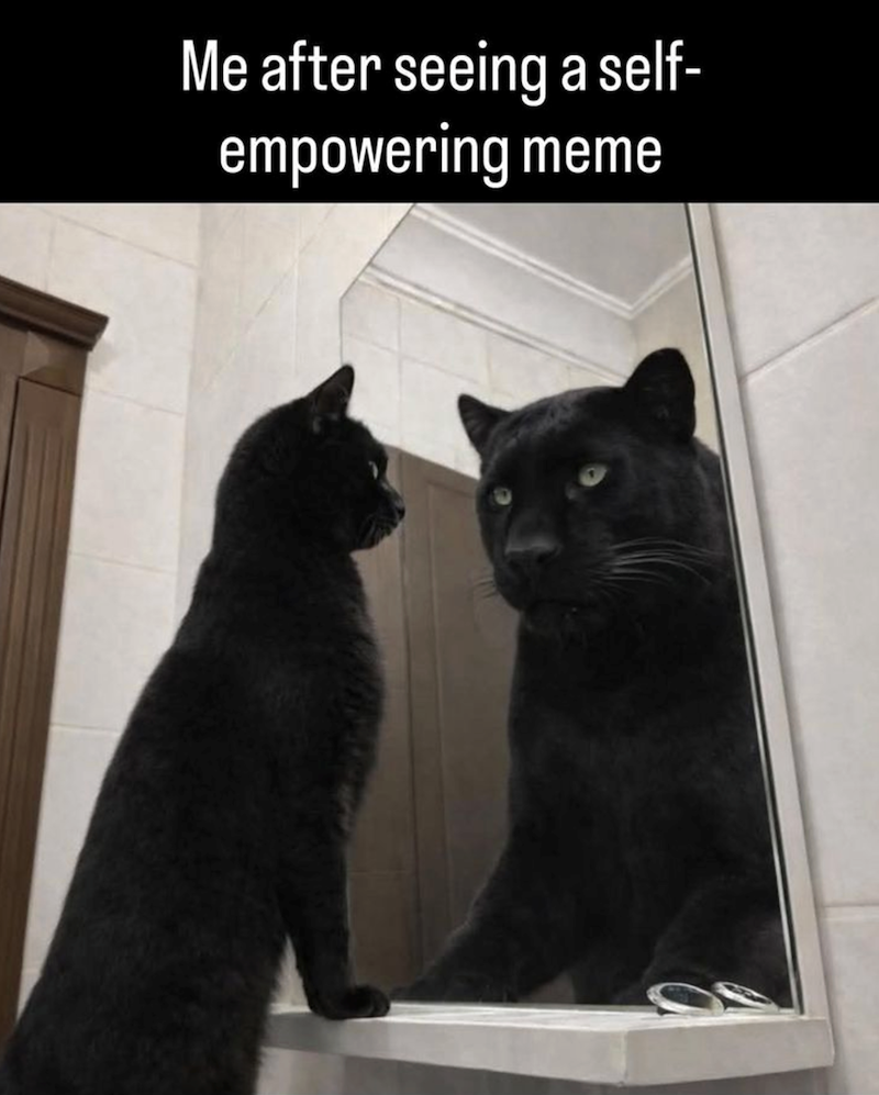 Me after seeing a self- empowering meme