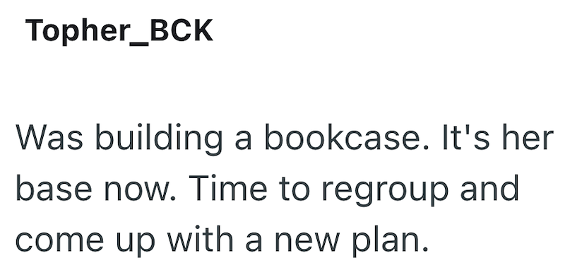 Topher_BCK Was building a bookcase. It's her base now. Time to regroup and come up with a new plan.