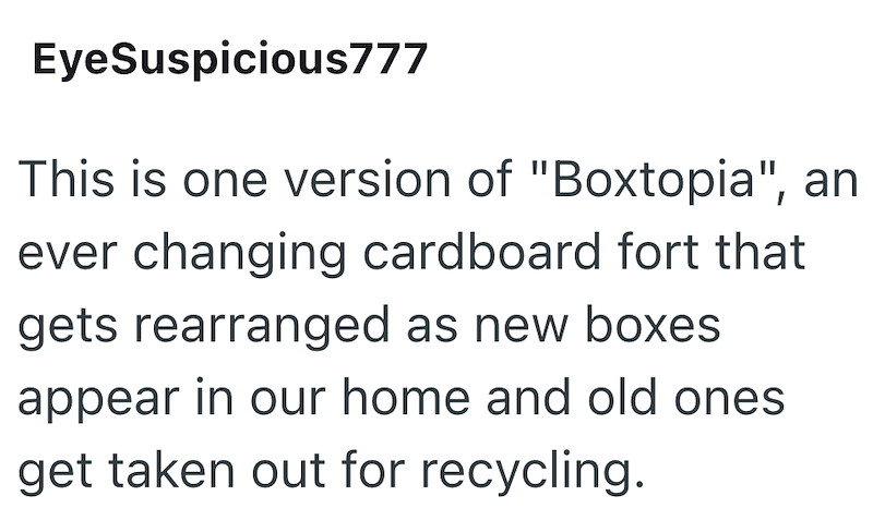 EyeSuspicious777 This is one version of "Boxtopia", an ever changing cardboard fort that gets rearranged as new boxes appear in our home and old ones get taken out for recycling.