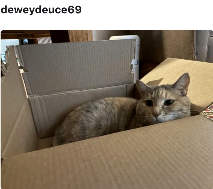 deweydeuce69