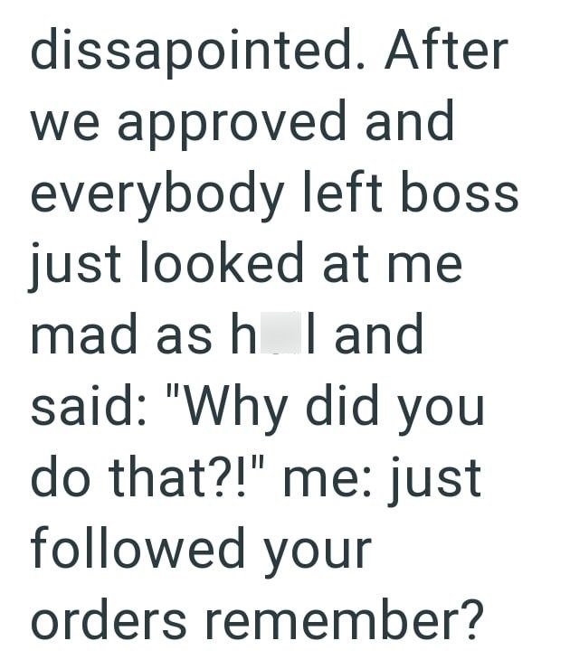 dissapointed. After we approved and everybody left boss just looked at me mad ash land said: "Why did you do that?!" me: just followed your orders remember?