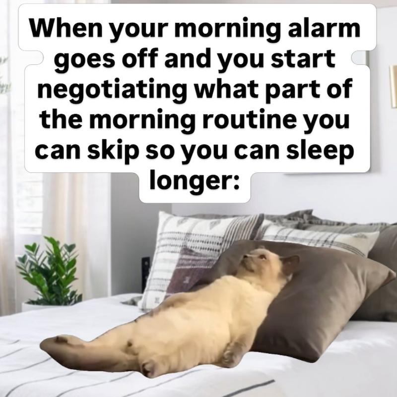 When your morning alarm goes off and you start negotiating what part of the morning routine you can skip so you can sleep longer: