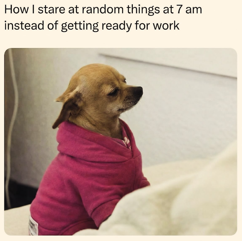 How I stare at random things at 7 am instead of getting ready for work