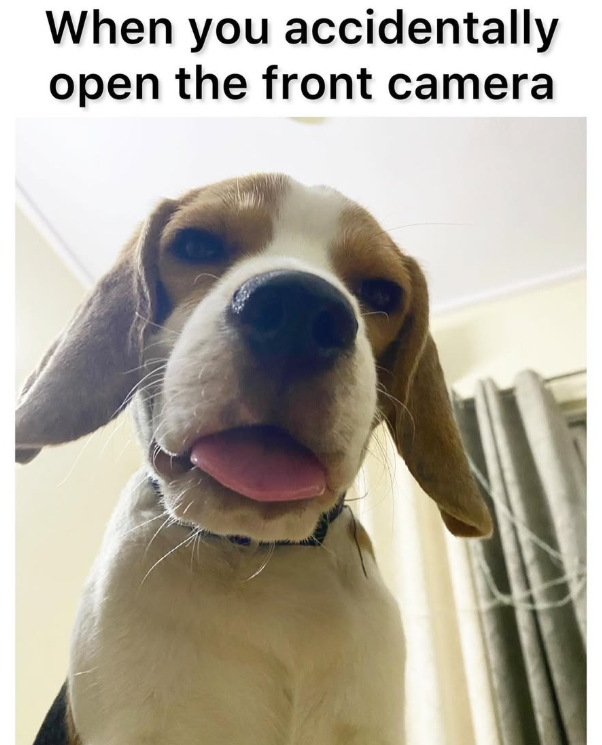 When you accidentally open the front camera