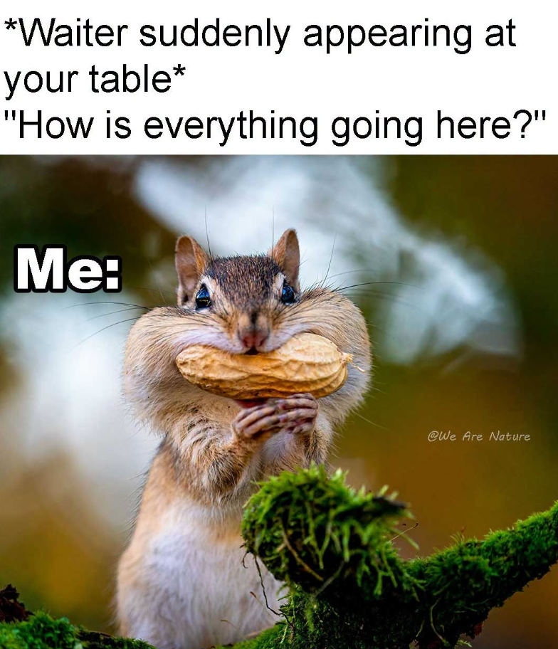 *Waiter suddenly appearing at your table* "How is everything going here?" Me: @We Are Nature