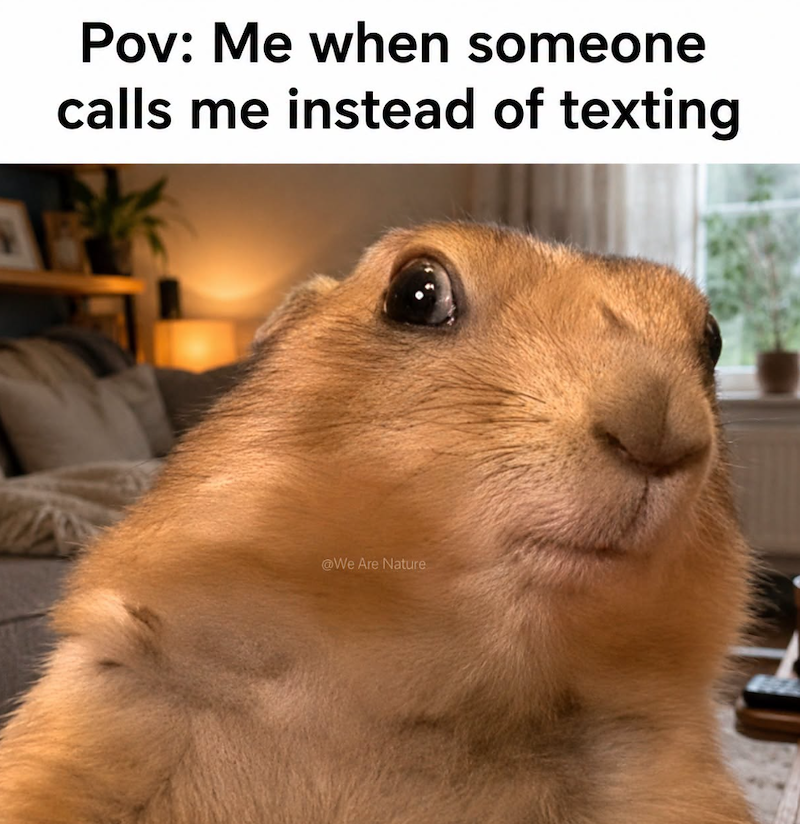 Pov: Me when someone calls me instead of texting @We Are Nature