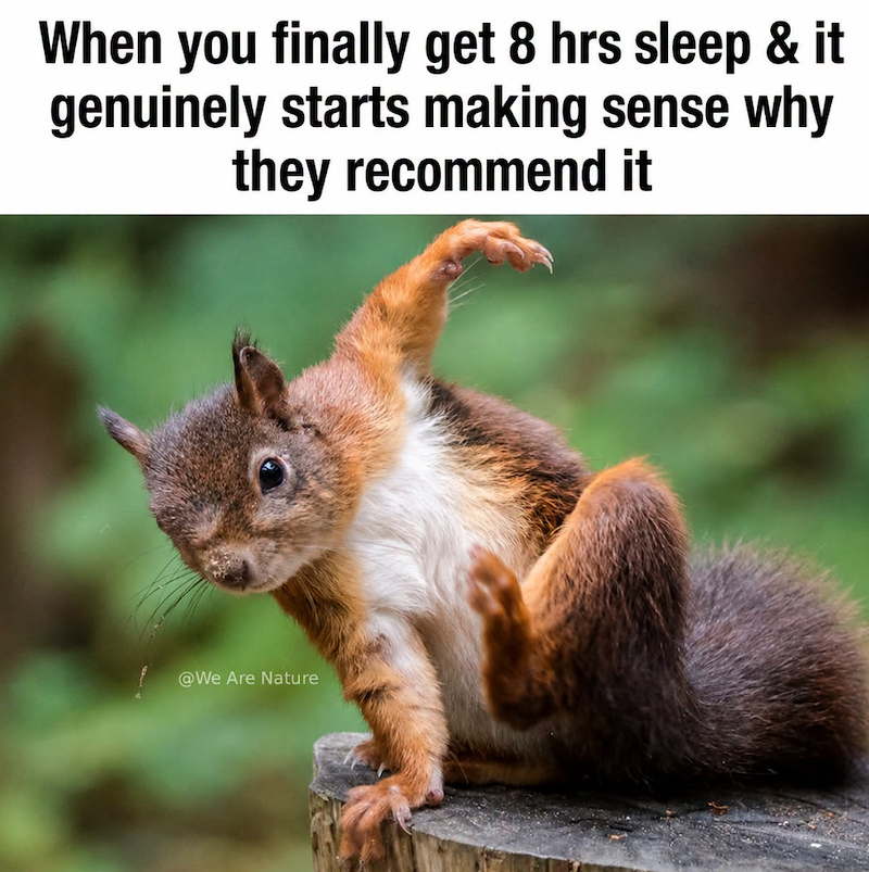 When you finally get 8 hrs sleep & it genuinely starts making sense why they recommend it @We Are Nature