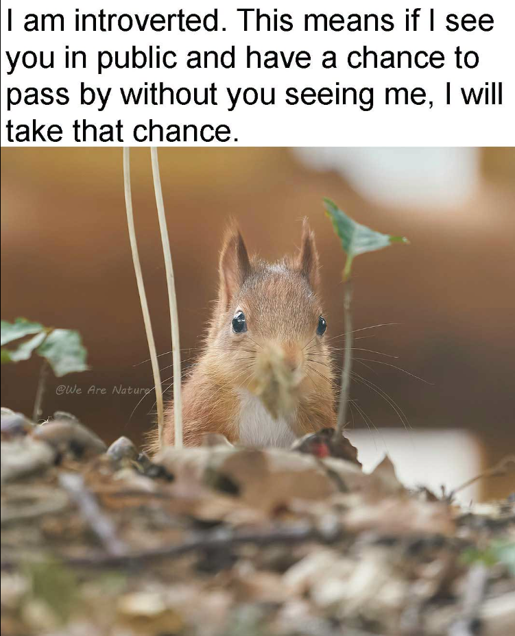 I am introverted. This means if I see you in public and have a chance to pass by without you seeing me, I will take that chance. @We Are Nature