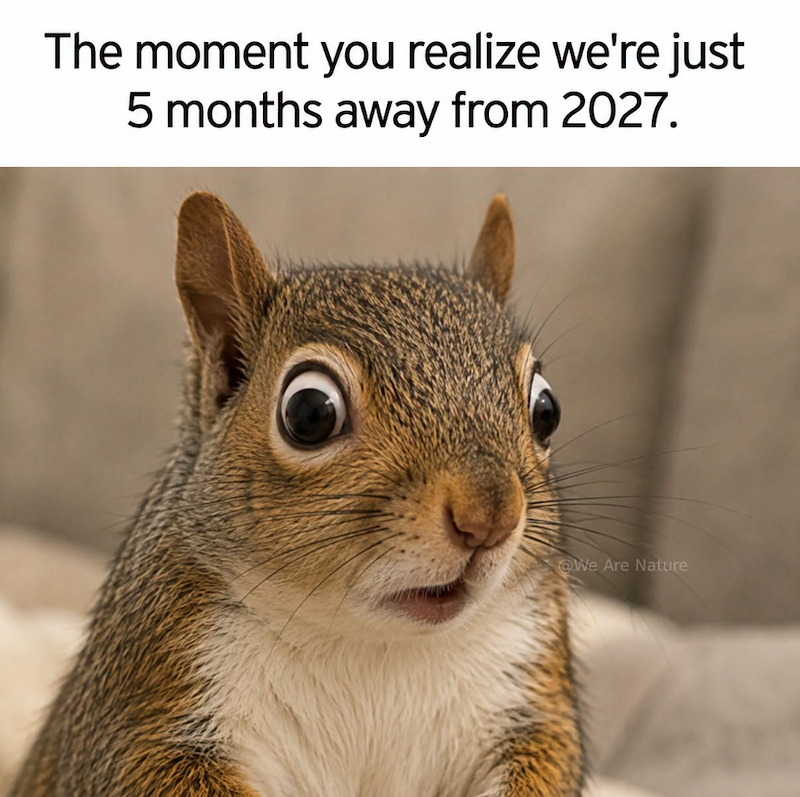 The moment you realize we're just 5 months away from 2027. @We Are Nature