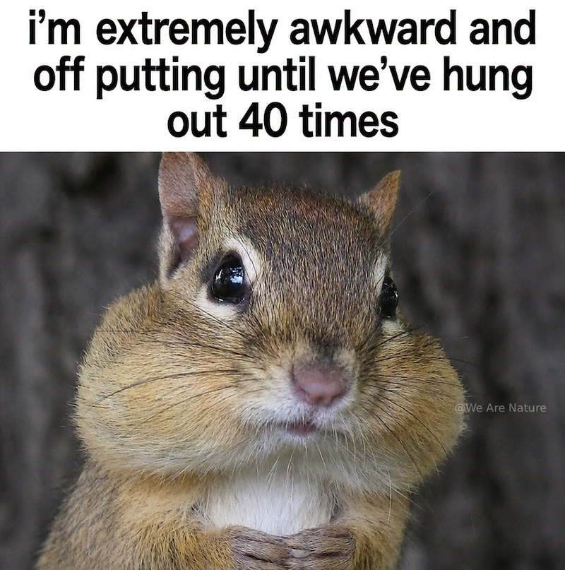 i'm extremely awkward and off putting until we've hung out 40 times @We Are Nature