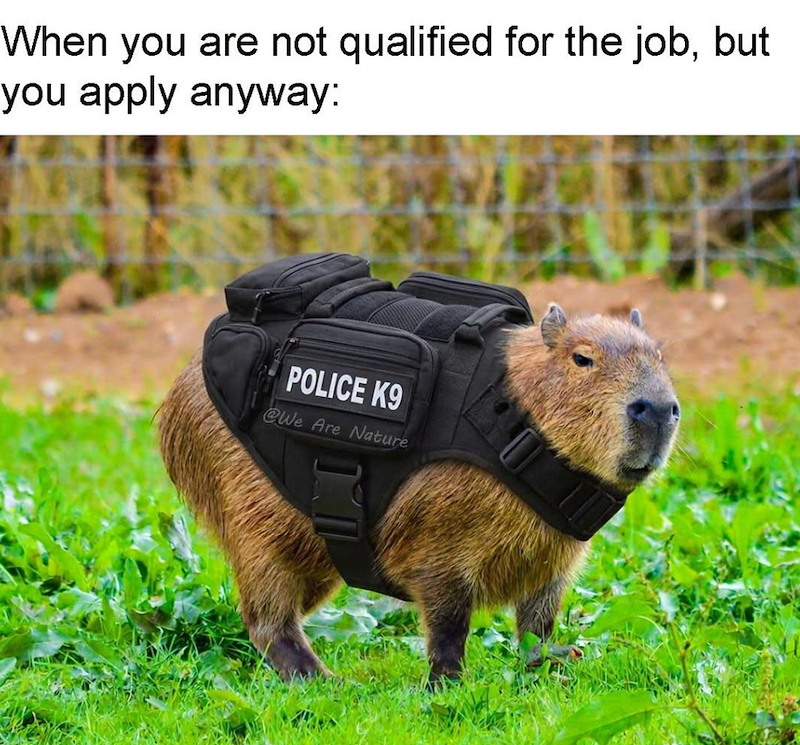 When you are not qualified for the job, but you apply anyway: POLICE K9 @We Are Nature