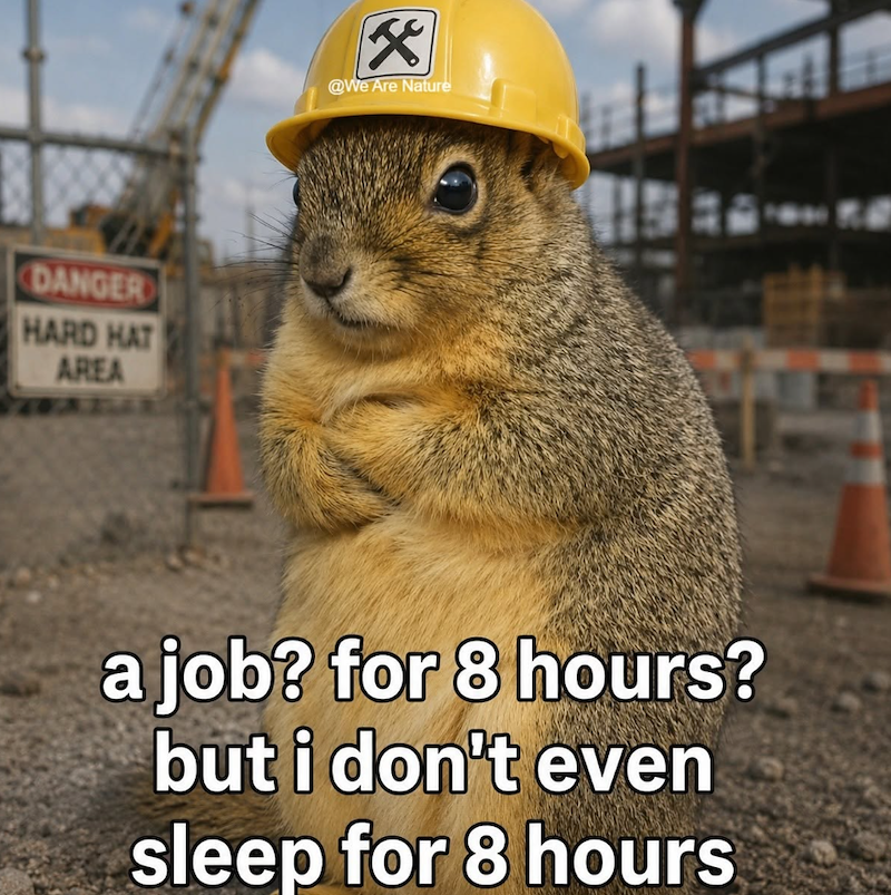 DANGER HARD HAT AREA x @We Are Nature a job? for 8 hours? but i don't even sleep for 8 hours