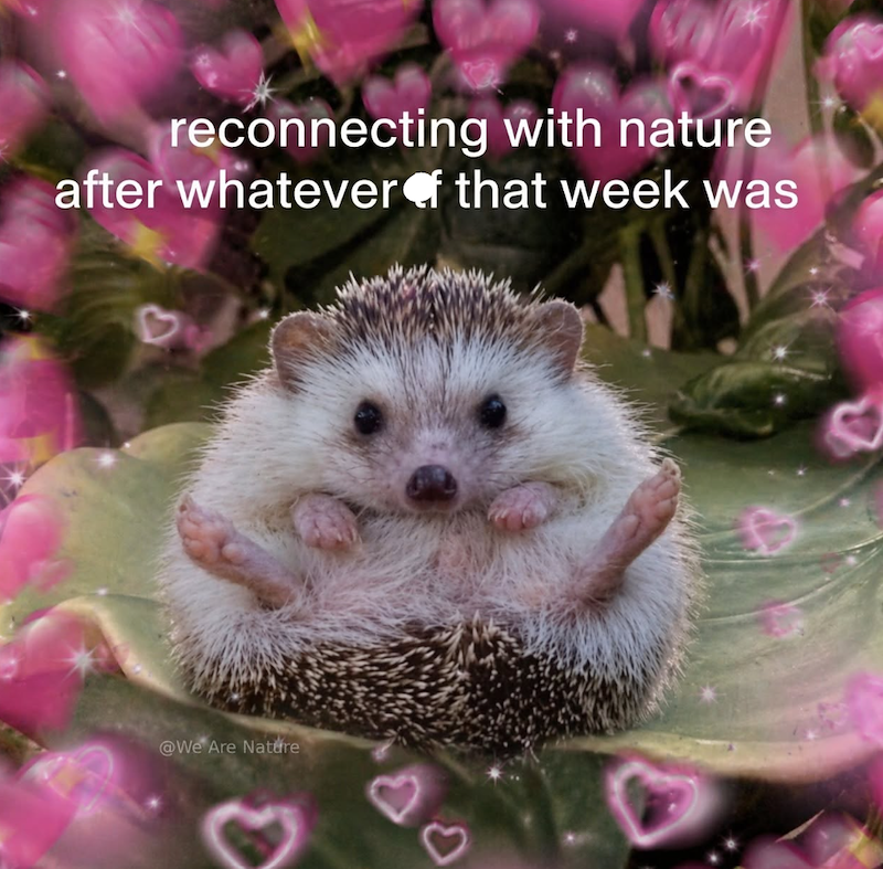 reconnecting with nature after whatever of that week was @We Are Nature
