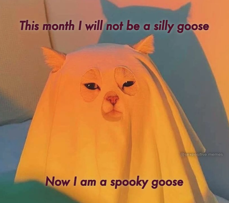 This month I will not be a silly goose Now I am a spooky goose @sexpositive.memes