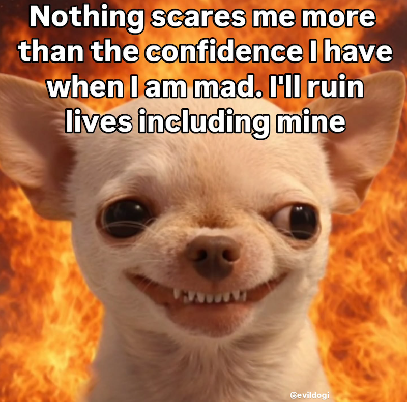 Nothing scares me more than the confidence I have when I am mad. I'll ruin lives including mine Bevildogi