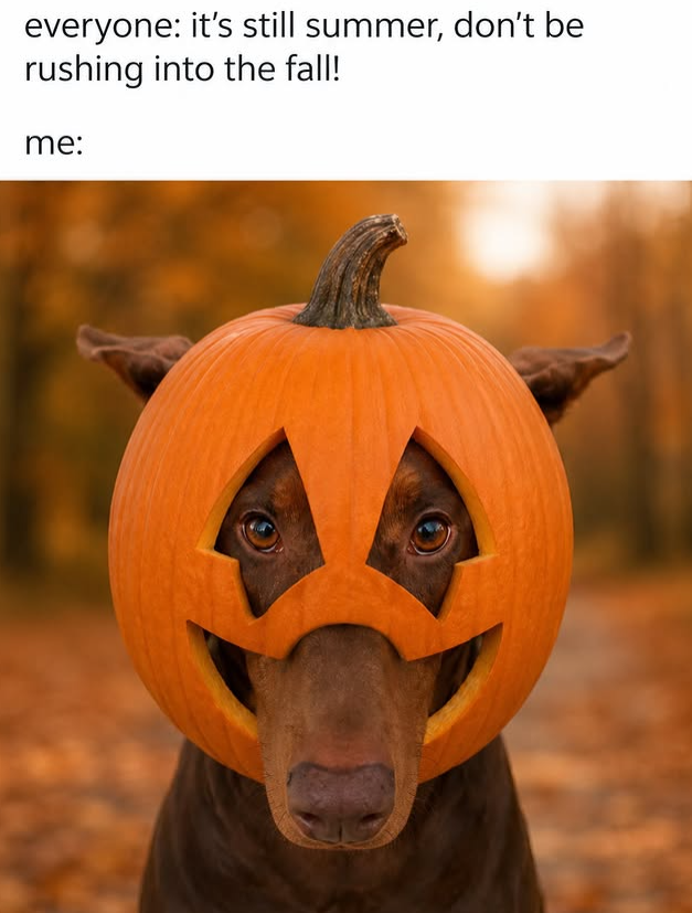 everyone: it's still summer, don't be rushing into the fall! me: